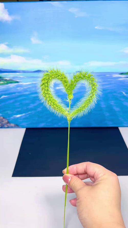 狗尾巴草能做什么创意手工？-图3