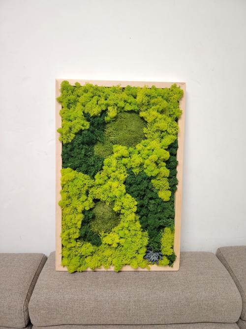 创意植物墙苔藓,如何打造独特生态绿意?-图2 创意植物墙苔藓,如何打造独特生态绿意?-图2