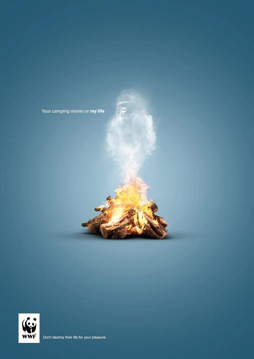 国外环保创意有哪些新奇点？-图1