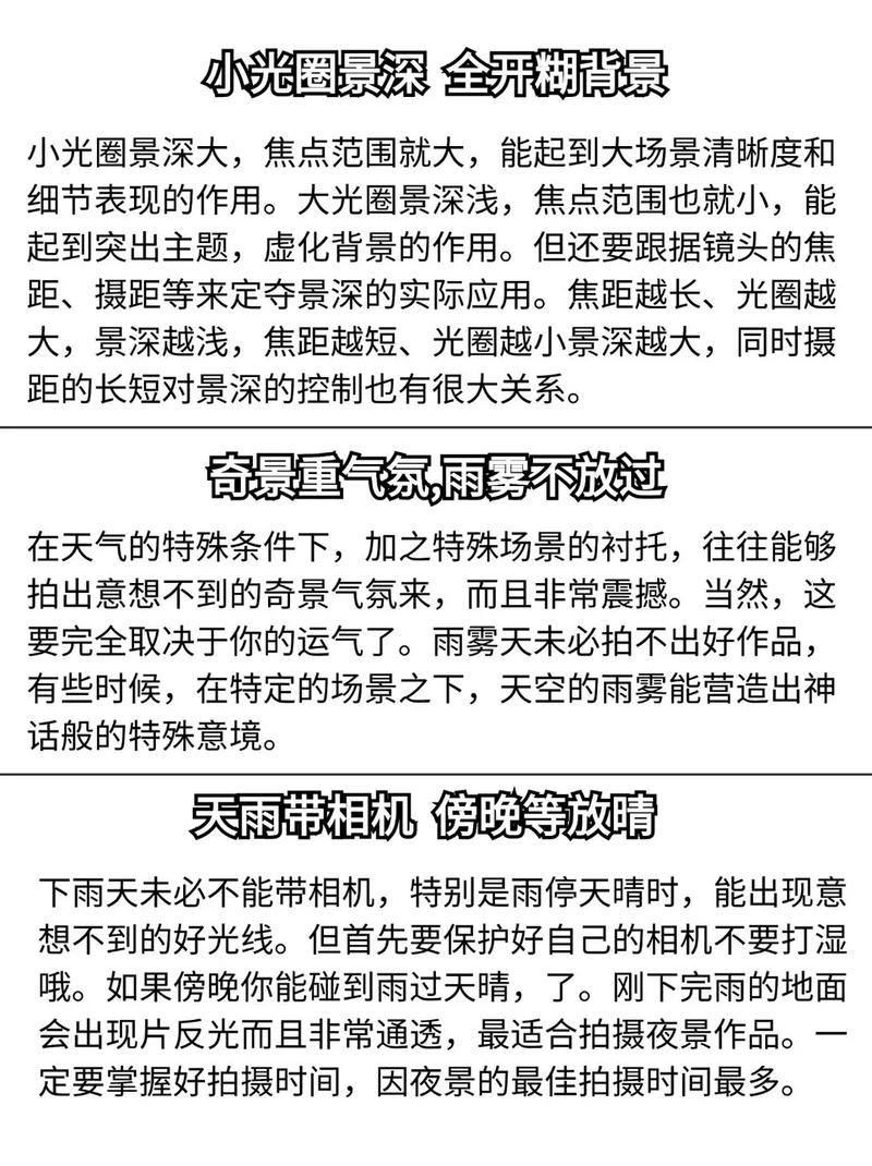摄影技巧心得，如何快速提升摄影水平？-图2