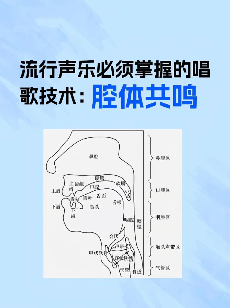 唱歌技巧的理论-图2