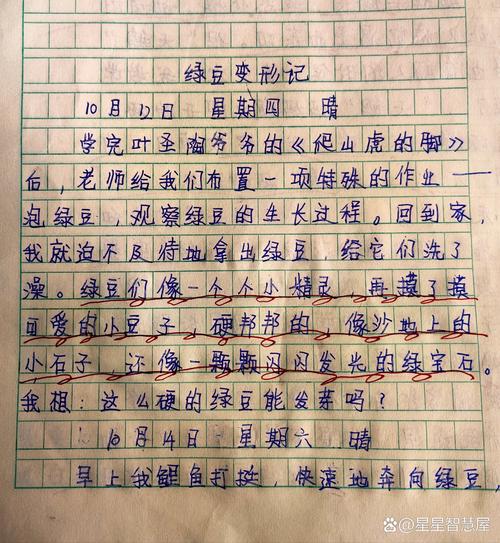 小学观察日记怎么写？技巧有哪些？-图1