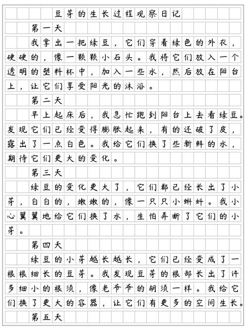 小学观察日记怎么写？技巧有哪些？-图3