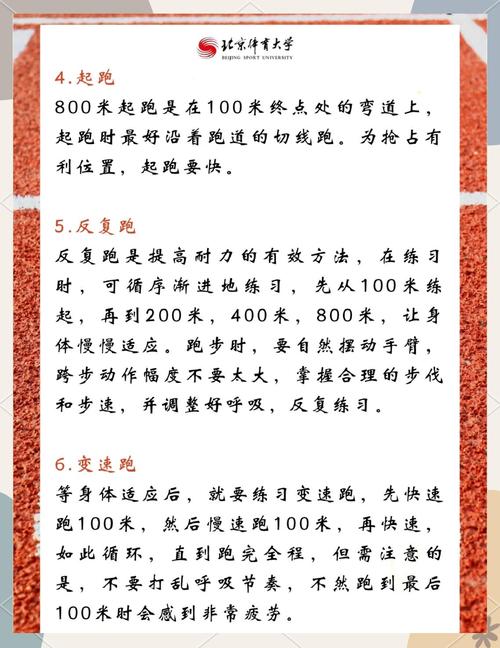 中考体育短跑技巧有哪些关键教案要点？-图2