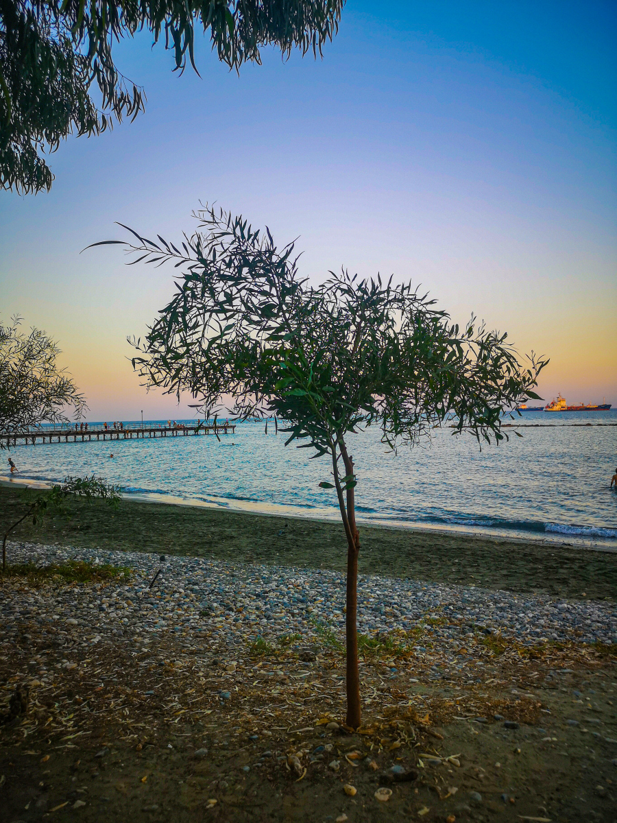 拍风景创意-图2