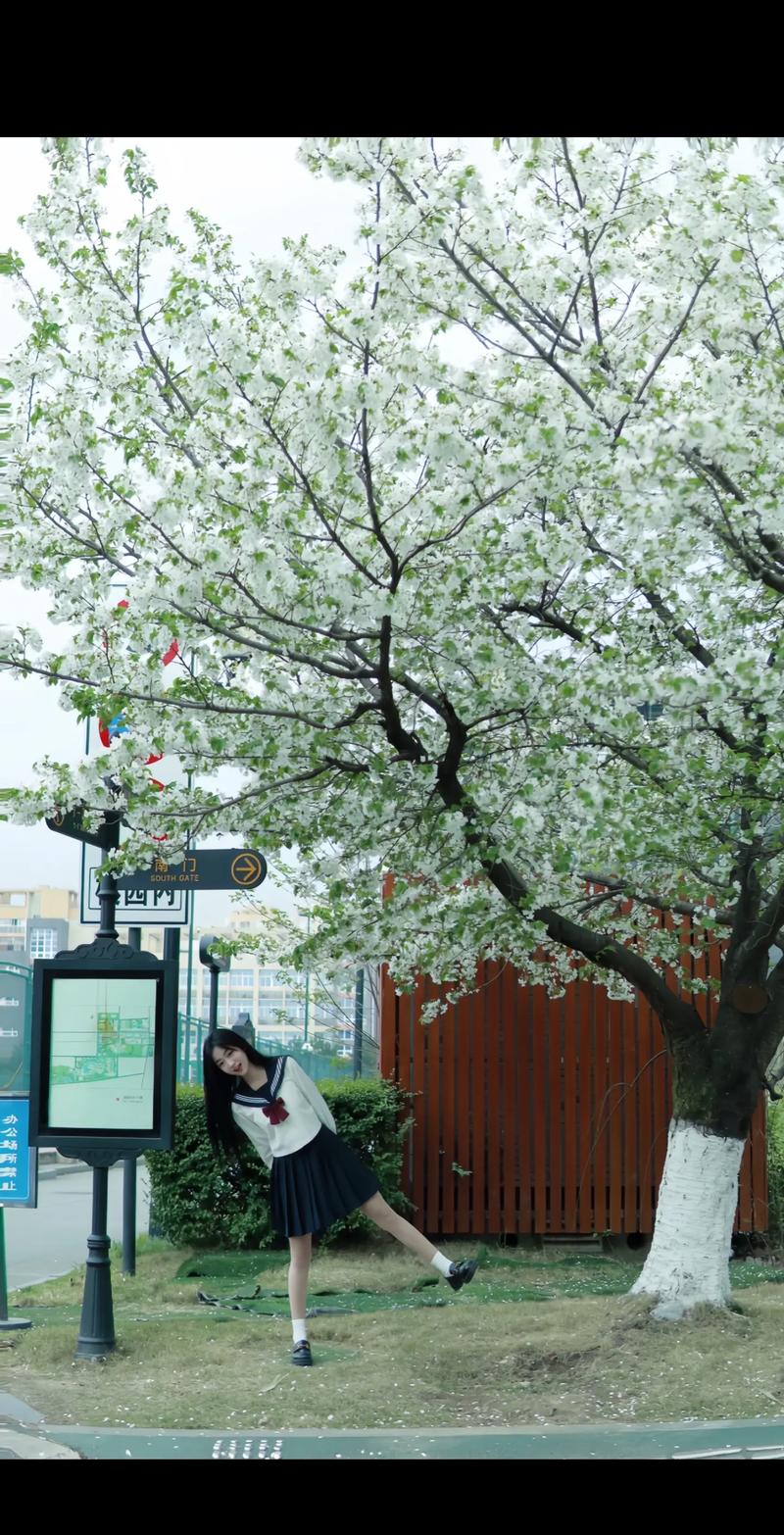 春天校园拍出好照片，有哪些实用技巧？-图2