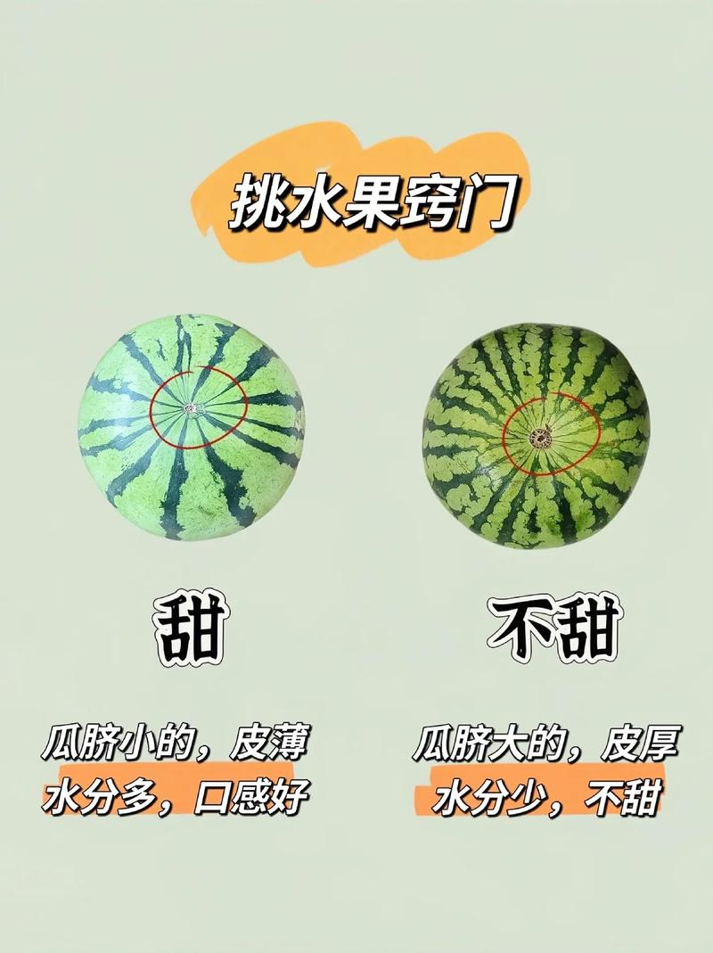 云帆水果技巧有哪些实用方法能让水果保鲜更久、口感更好？-图1