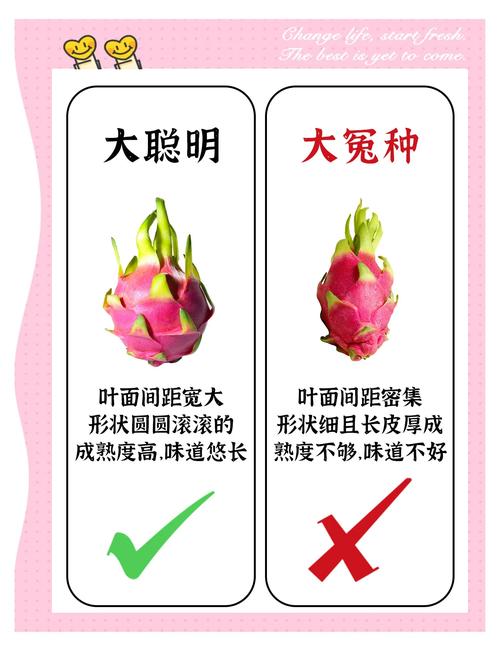 云帆水果技巧有哪些实用方法能让水果保鲜更久、口感更好？-图2