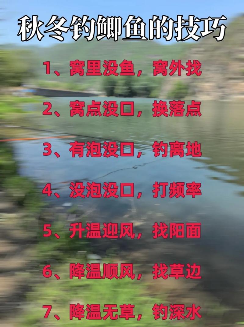 气温低钓鱼技巧，气温低钓鱼技巧视频-图3