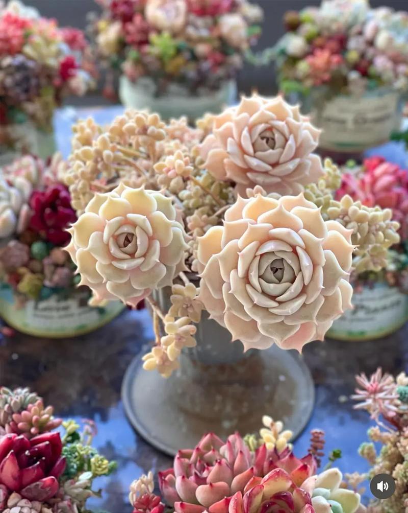 肉肉创意拼盘-图1