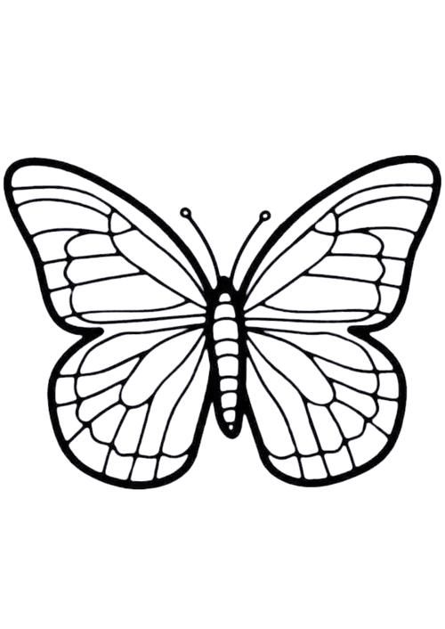 创意简笔画蝴蝶-图3