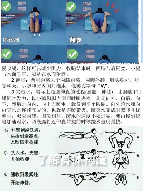 蛙泳腿技巧-图1