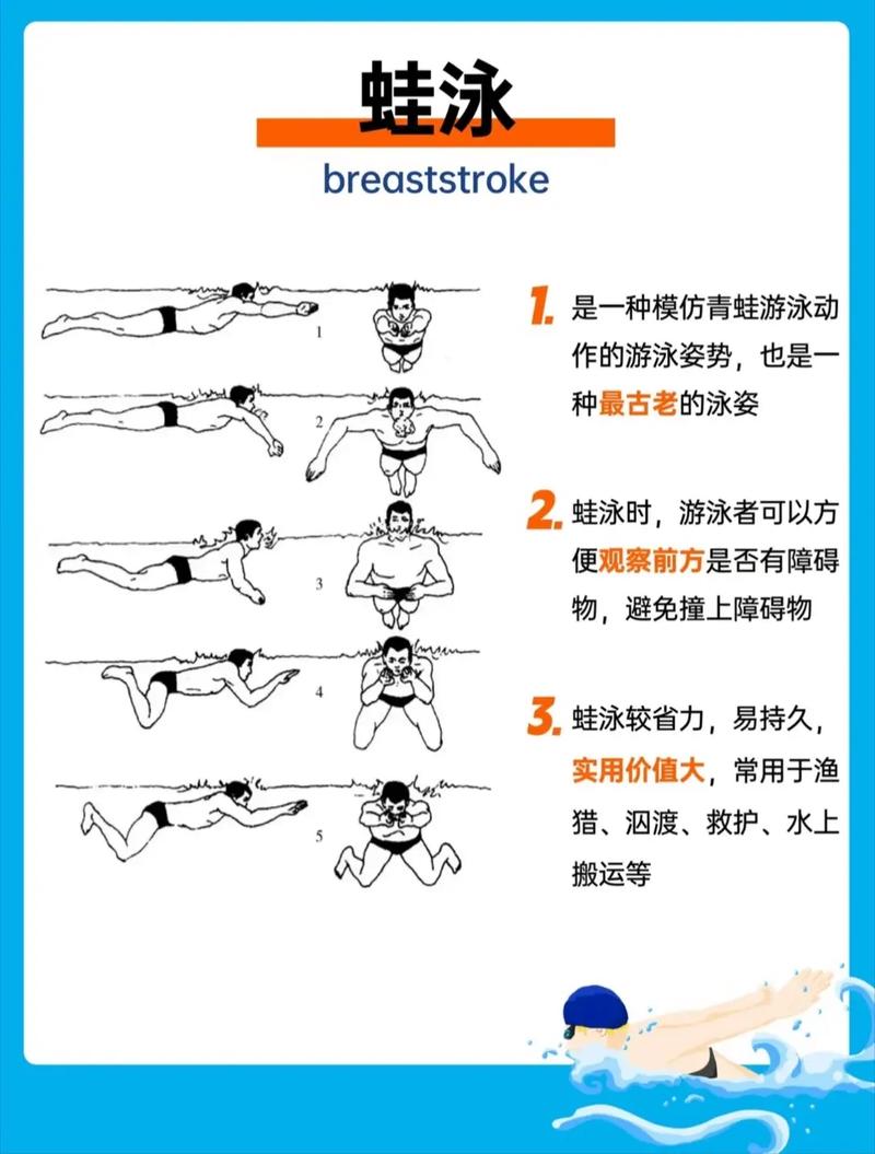 蛙泳腿技巧-图3