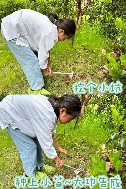 果树挖坑技巧-图3