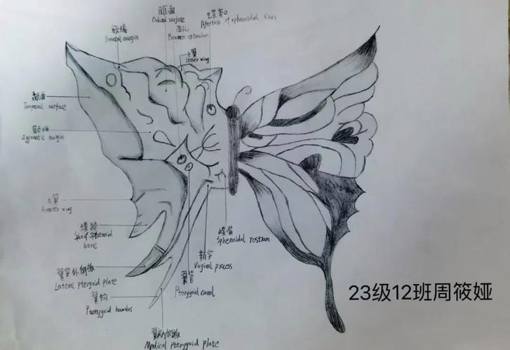 手绘创意大赛-图2