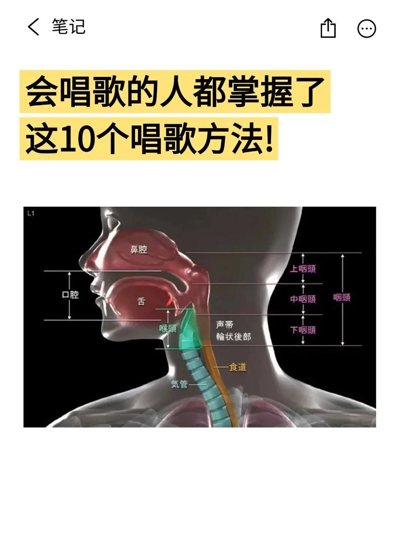 唱歌声音技巧具体包含哪些核心方法,如何科学训练才能有效提升?-图1 唱歌声音技巧具体包含哪些核心方法,如何科学训练才能有效提升?-图1