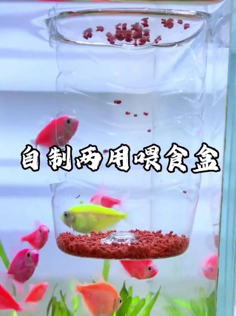 96种喂食技巧具体包含哪些实用方法?新手如何快速掌握核心教程避免喂养误区?-图3 96种喂食技巧具体包含哪些实用方法?新手如何快速掌握核心教程避免喂养误区?-图3