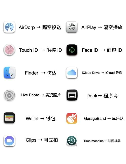 非常有创意的app,非常有创意的app名字-图1 非常有创意的app,非常有创意的app名字-图1