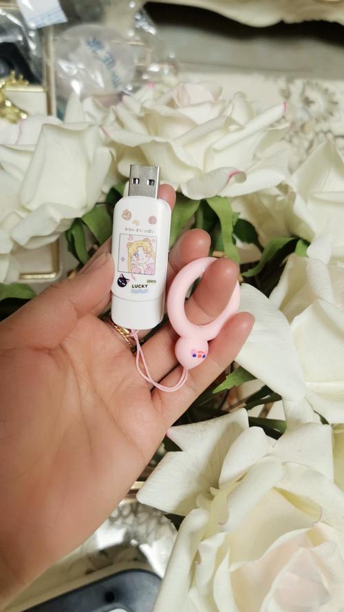 创意U盘女生设计如何兼顾实用与个性?这些独特款式真的能打动女性用户吗?-图3 创意U盘女生设计如何兼顾实用与个性?这些独特款式真的能打动女性用户吗?-图3