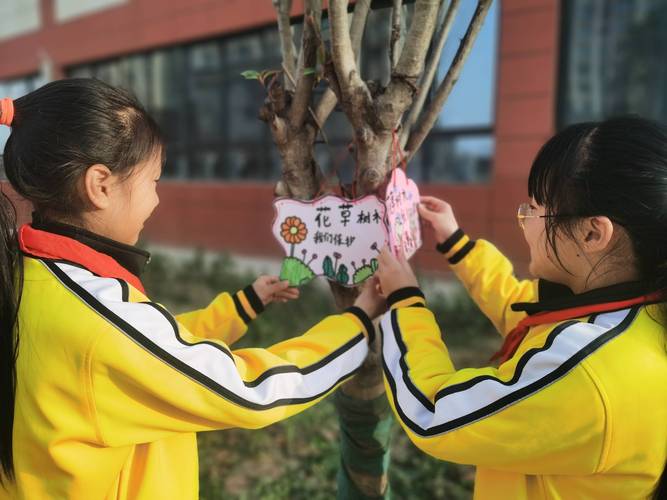 植树节创意树牌挂件有哪些独特设计能让树木成为会说话的绿色名片？-图2