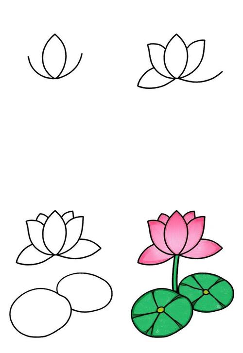 如何掌握画荷叶的技巧与步骤，让笔下的荷叶既生动又富有层次感？-图3