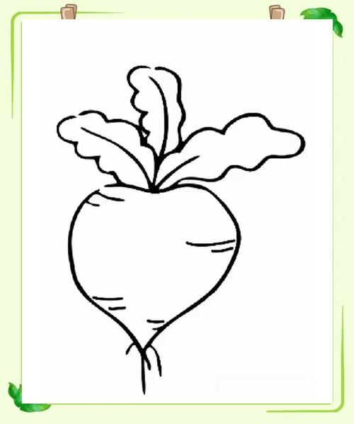 果蔬创意简笔画图片大全，如何用简单线条画出逼真又有趣的果蔬形象？-图3