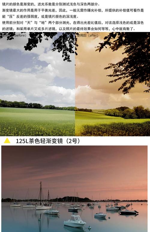 创意照片滤镜,创意照片滤镜怎么弄-图3 创意照片滤镜,创意照片滤镜怎么弄-图3