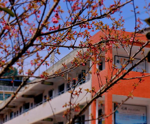 校园创意风景照，校园创意风景照片大全-图3