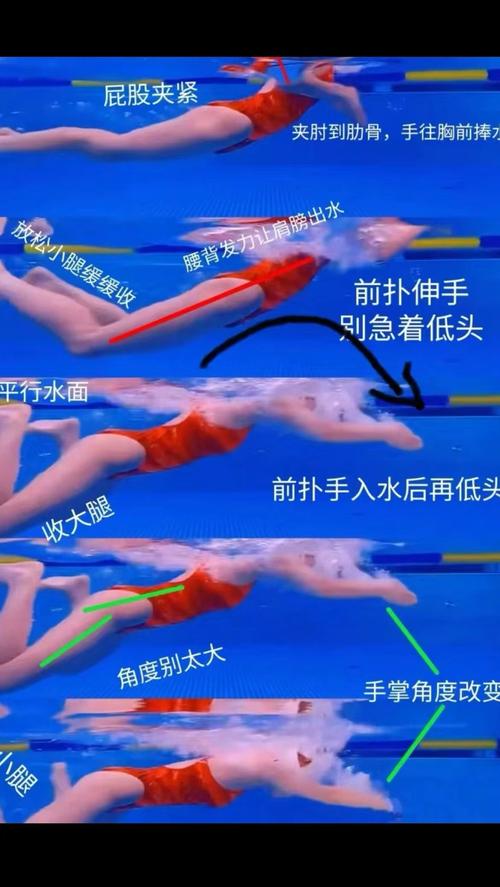 蛙泳夹水技巧怎么练才有效?-图2 蛙泳夹水技巧怎么练才有效?-图2