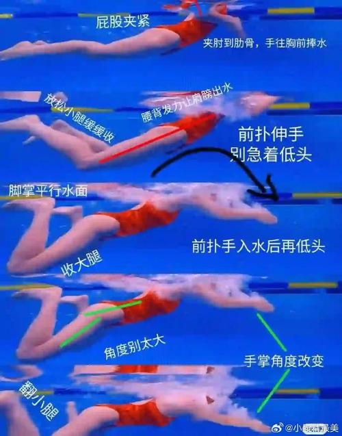 蛙泳夹水技巧怎么练才有效?-图3 蛙泳夹水技巧怎么练才有效?-图3