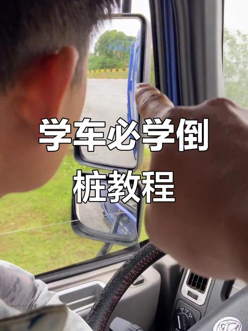 2025倒桩技巧视频怎么学才有效？-图1