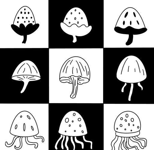 渐变图形创意图片有哪些灵感？-图1