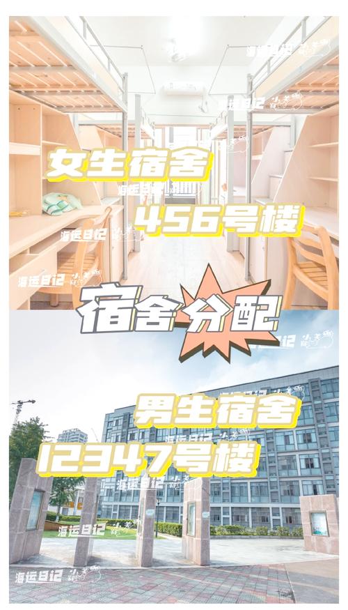 学生安排宿舍技巧，学生安排宿舍技巧有哪些-图2