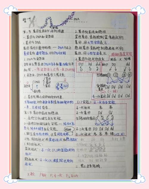 生物选择题技巧，生物选择题技巧归纳-图3