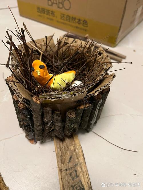 创意鸟窝，创意鸟窝手工作品图片-图2