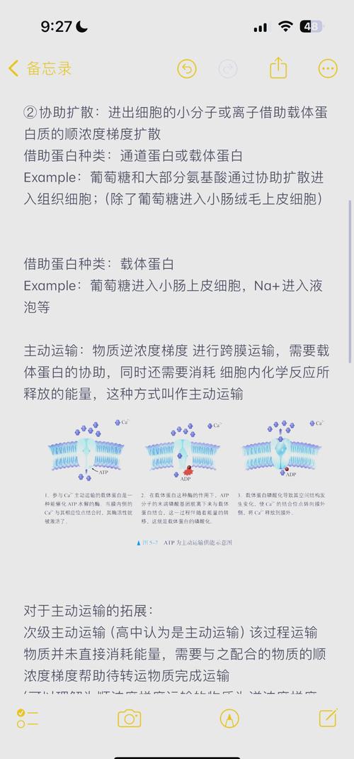 生物竞赛技巧有哪些实用方法?-图2 生物竞赛技巧有哪些实用方法?-图2