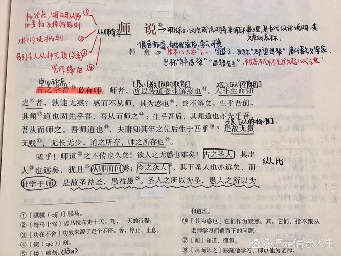 师说朗读技巧有哪些核心要点？-图3