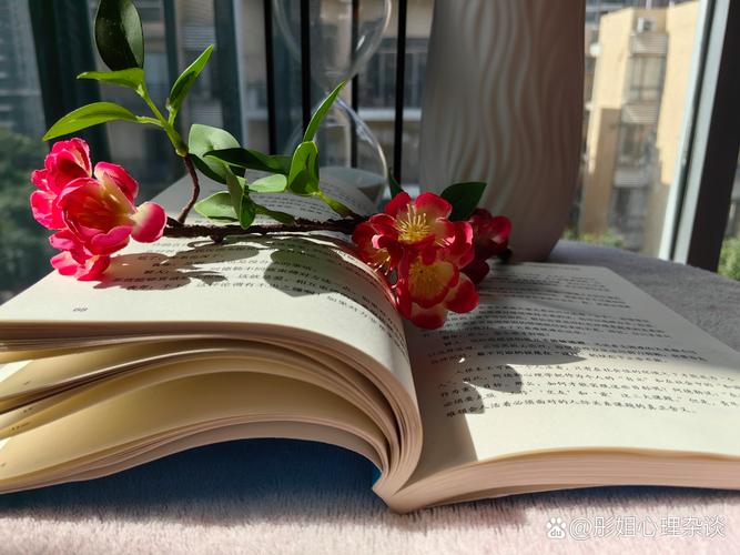 创意拍书页，拍书页图片-图1