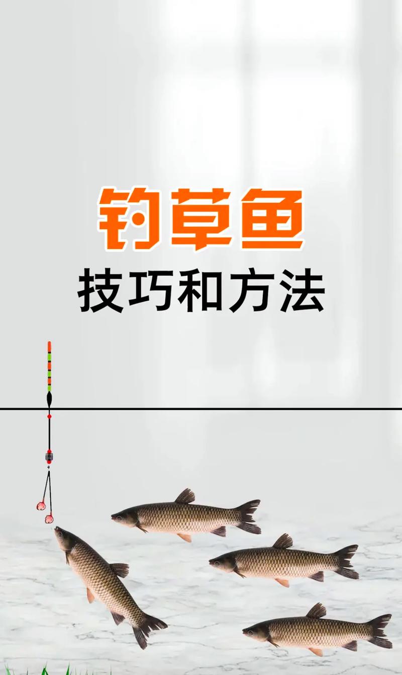 韭菜钓草鱼技巧，韭菜钓草鱼技巧口诀-图2