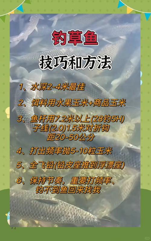 韭菜钓草鱼技巧，韭菜钓草鱼技巧口诀-图1