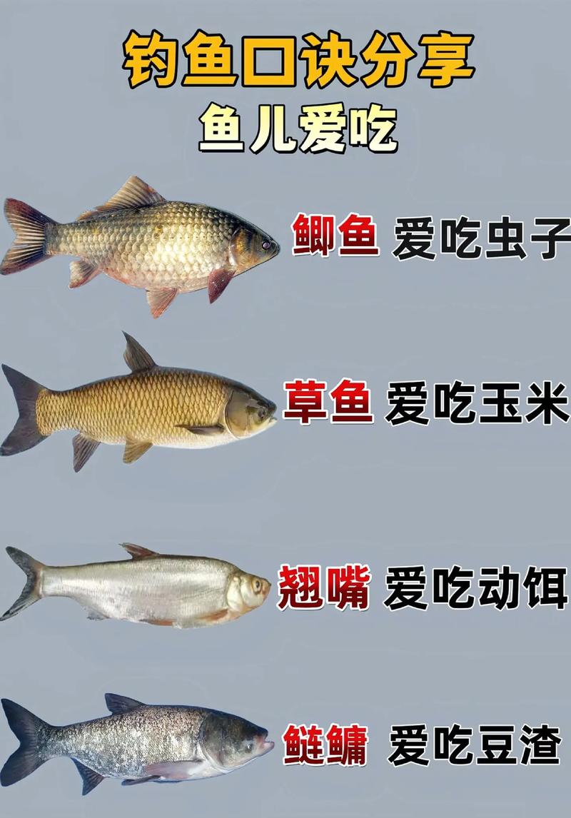 韭菜钓草鱼技巧，韭菜钓草鱼技巧口诀-图3