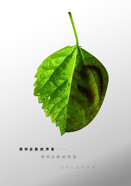 环保公益创意广告，如何打动人心？-图3