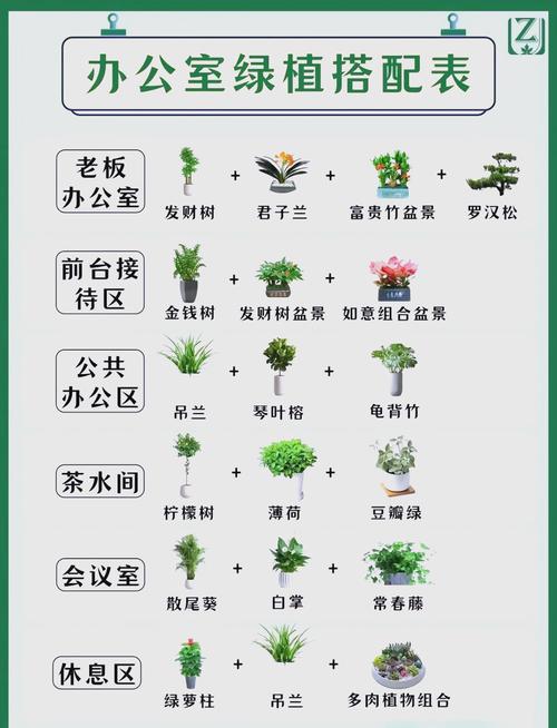 绿色生活有哪些实用小技巧？-图2