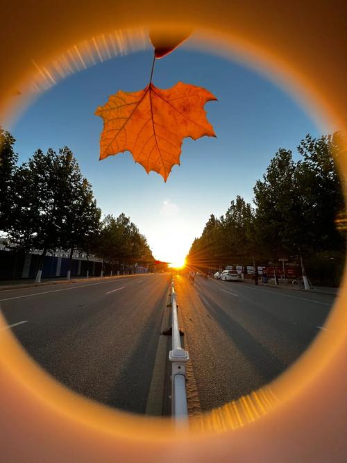 创意拍照图片怎么拍出新意？-图1