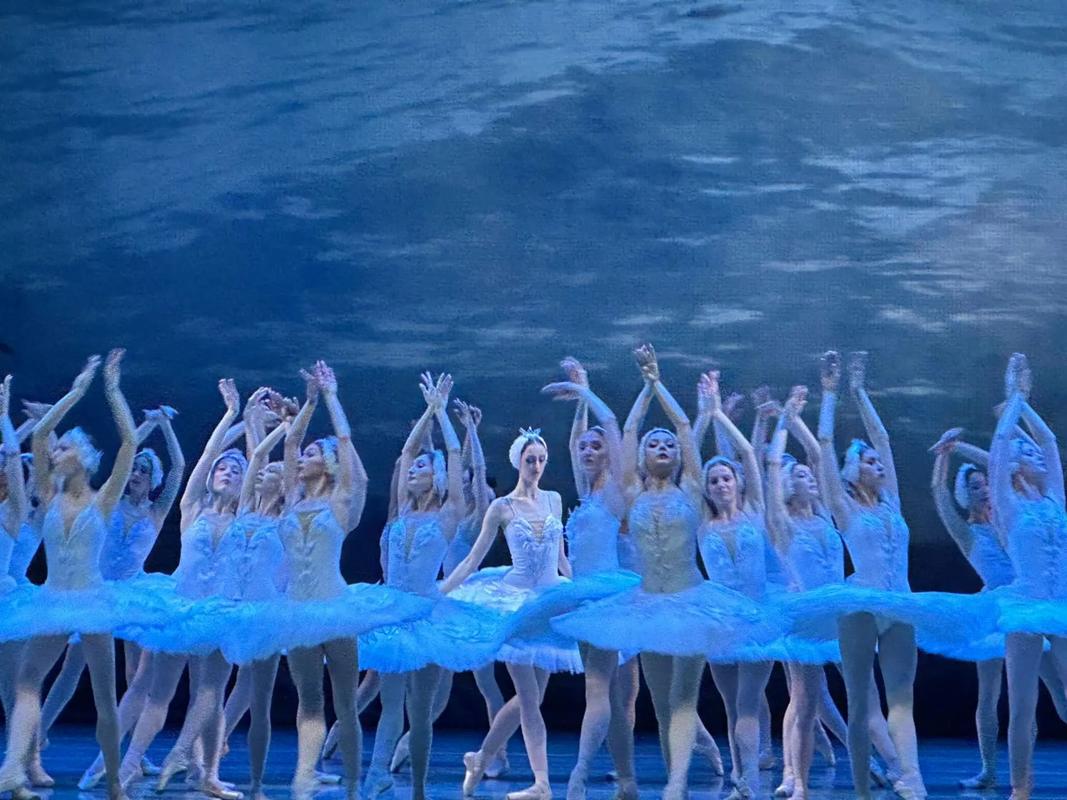 天鹅湖的舞蹈技巧有何独特之处？-图2