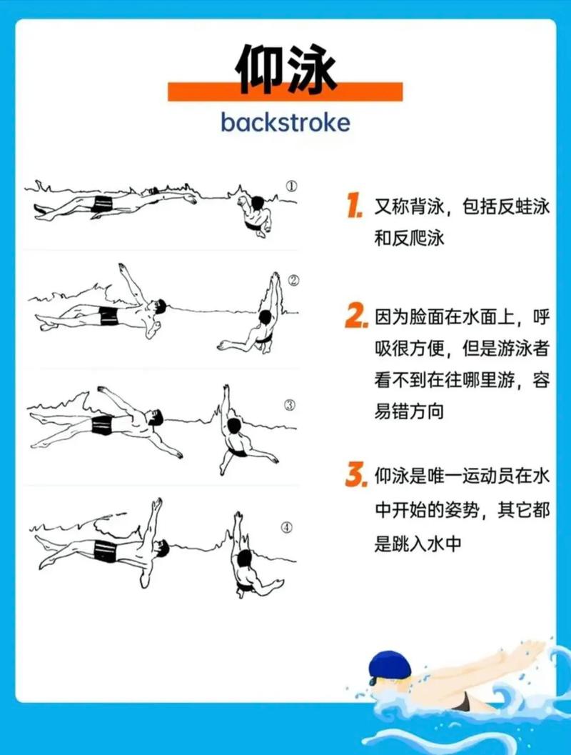 仰泳游泳技巧,仰泳游泳技巧视频教程-图1 仰泳游泳技巧,仰泳游泳技巧视频教程-图1