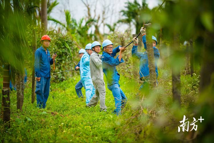 团队过电网技巧有哪些？图片解法看这里！-图1