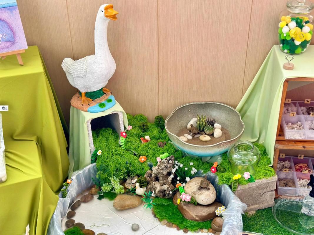 幼儿园自然角如何创意布置更有趣？-图3