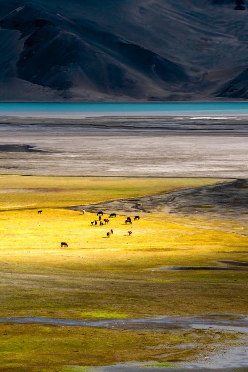 视觉中国创意图库,创意从何而来?-图1 视觉中国创意图库,创意从何而来?-图1