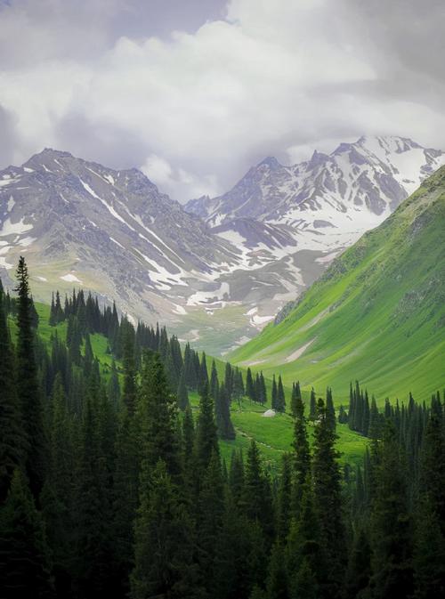 视觉中国创意图库,创意从何而来?-图2 视觉中国创意图库,创意从何而来?-图2